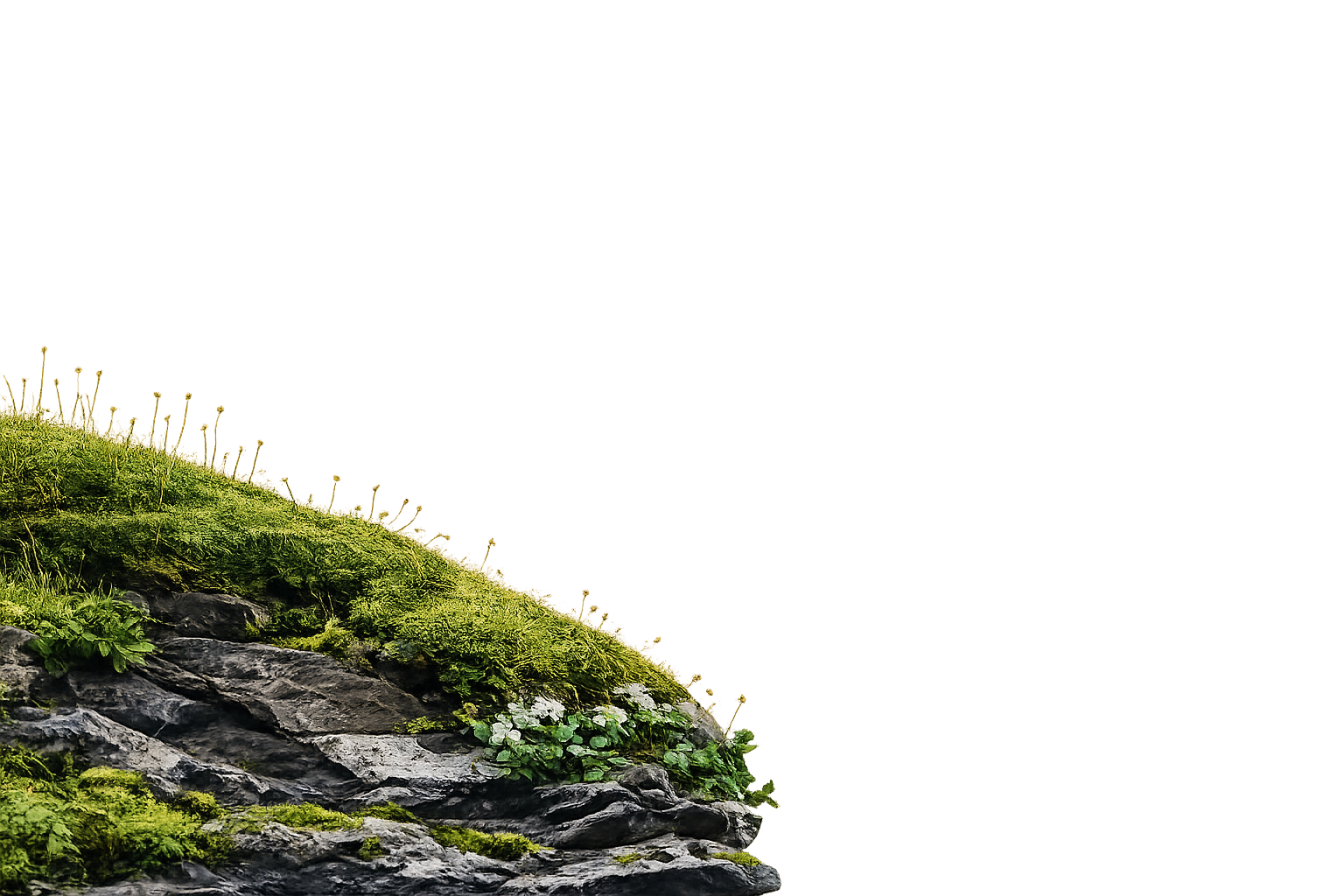 Mossy nature element